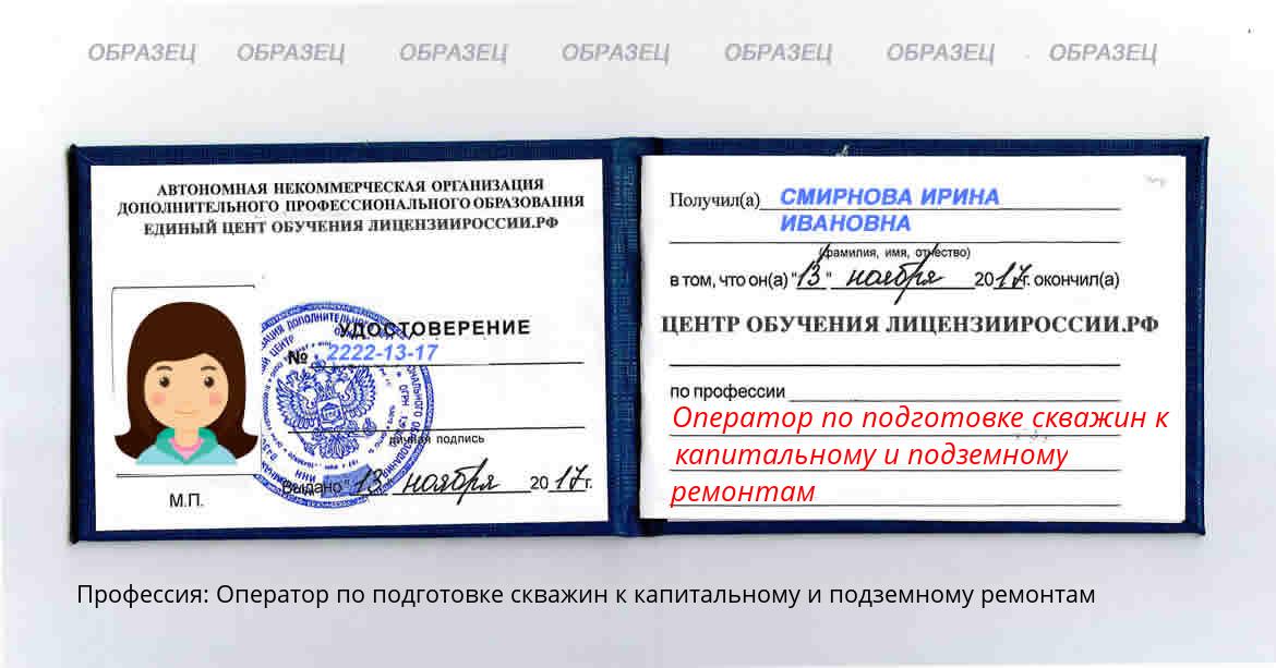 Оператор по подготовке скважин к капитальному и подземному ремонтам Казань